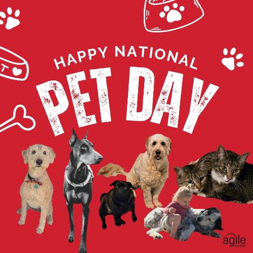 Weekend Open Houses - 4/11-4/12